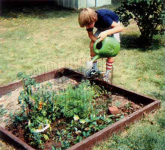 
The sandbox garden needed a lot of watering its first year due to a summer drought.
